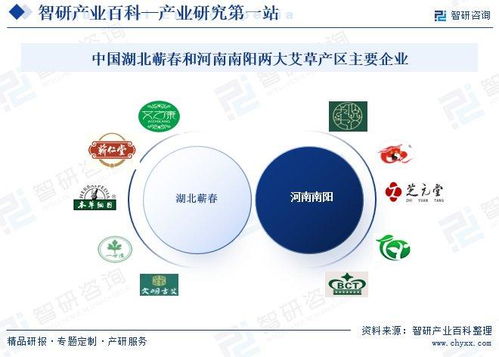 艾草行業(yè)市場動態(tài)與投資前景分析 技術(shù)創(chuàng)新驅(qū)動下的發(fā)展新機(jī)遇